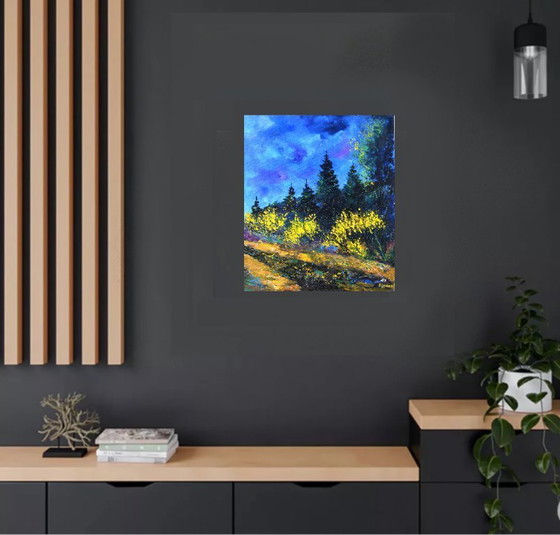 Image 1 of Yellow brooms