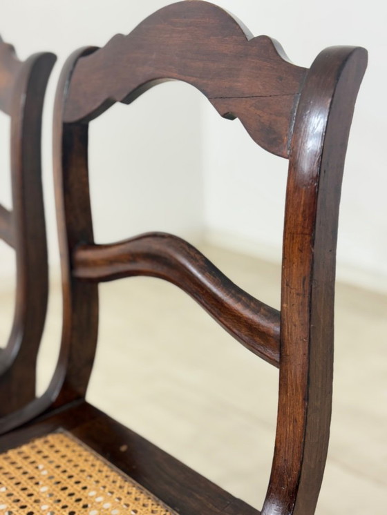 Image 1 of 2 chaises de salle à manger Biedermeier de très belle facture, chaises viennoises en osier, antiquités datant d'environ 1880.