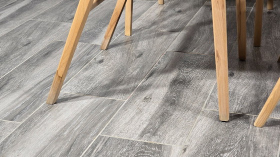 Image 1 of Stühle von Frantisek Jirak