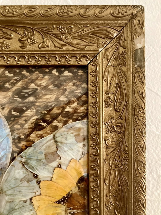 Image 1 of Composizione astratta incorniciata a forma di ali di farfalla