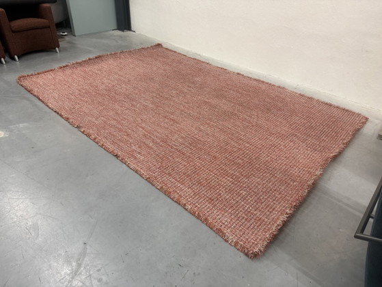 CSrugs Tweet Tappeto Rosso 220x320, CS Rugs, Tappeti, Altro, Multicolore (foto 4 di 13)