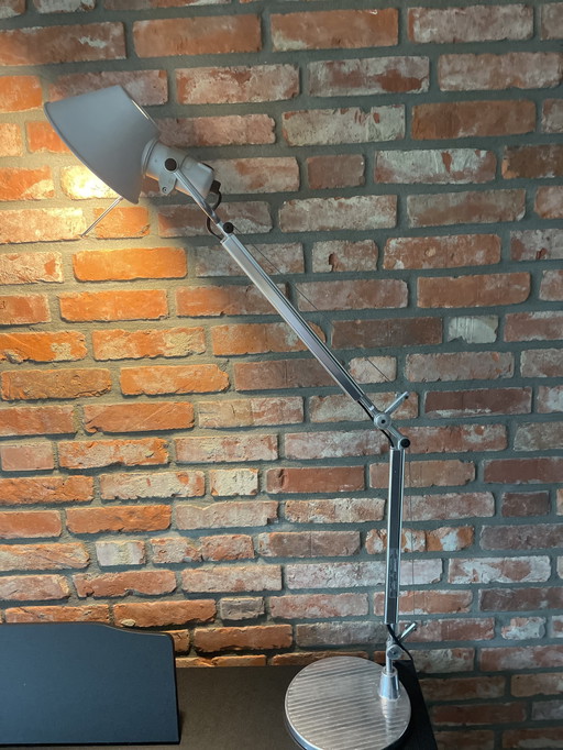 Artemide Tolomeo lamp