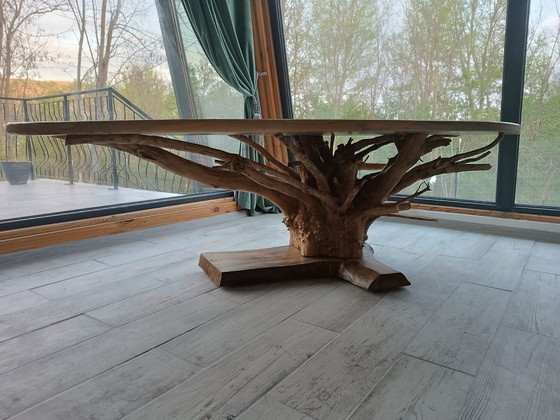 Image 1 of Noble Root - Der Inbegriff von Bio-Luxus