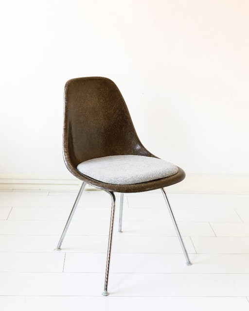 Carcasa de fibra de vidrio Eames con base en H