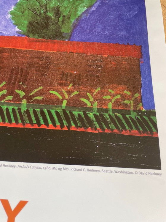 David Hockney, Nichols Canyon, 1980, Herr und Frau Richard C. Hedreen, Seattle, Washington, Copyright David (photo 3 of 11)