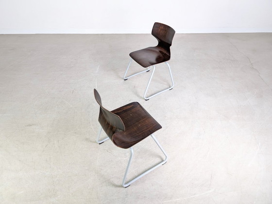 Image 1 of Conjunto original de 6 sillas de madera pavimentadas de mediados de siglo de Adam Stegner, silla ASS