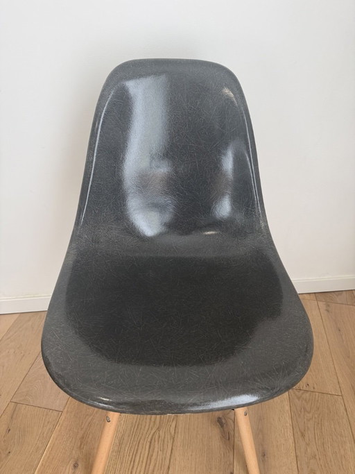DSW Eames Herman Miller US Edit 50er 60er Design Kein Vitra Knoll – eetkamerstoelen, Iron, Fiberglass (photo 2 of 11)