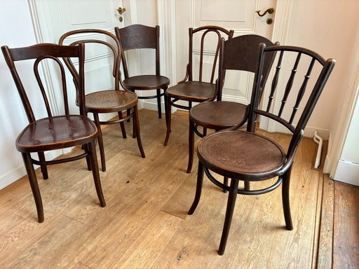 6 chaises de salle à manger Thonet assorties.