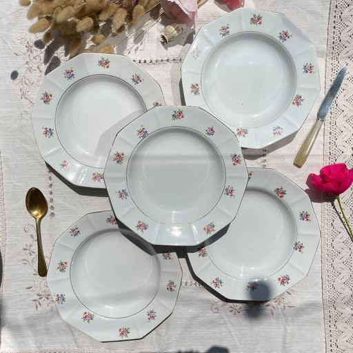 5 Vintage SALINS Opakporzellan Suppenteller mit Blumenmuster