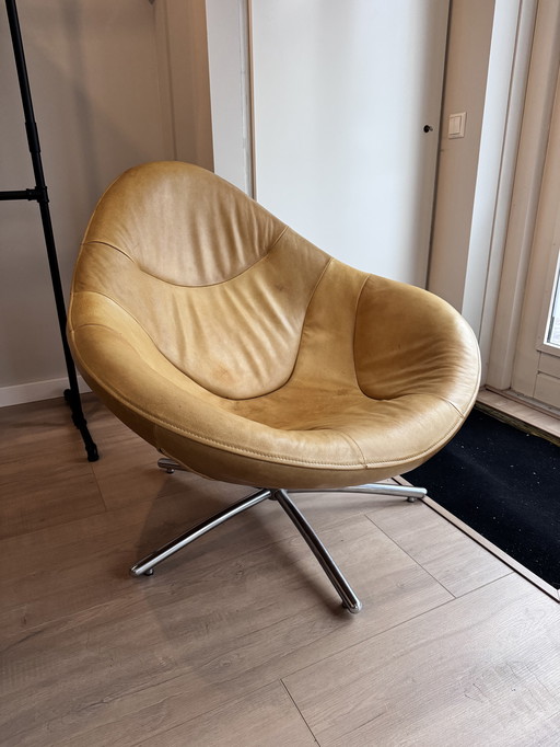 Hide van Label van den Berg