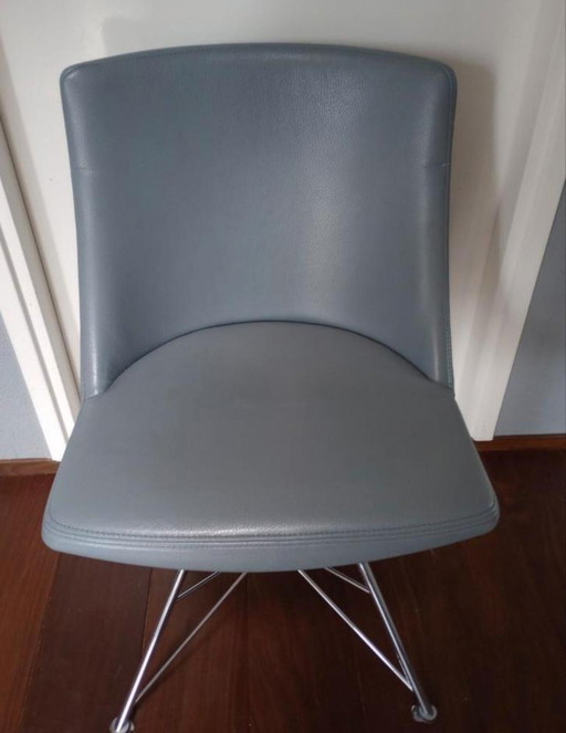 Sedia Bert Plantagie Rho Spin in vari colori di pelle