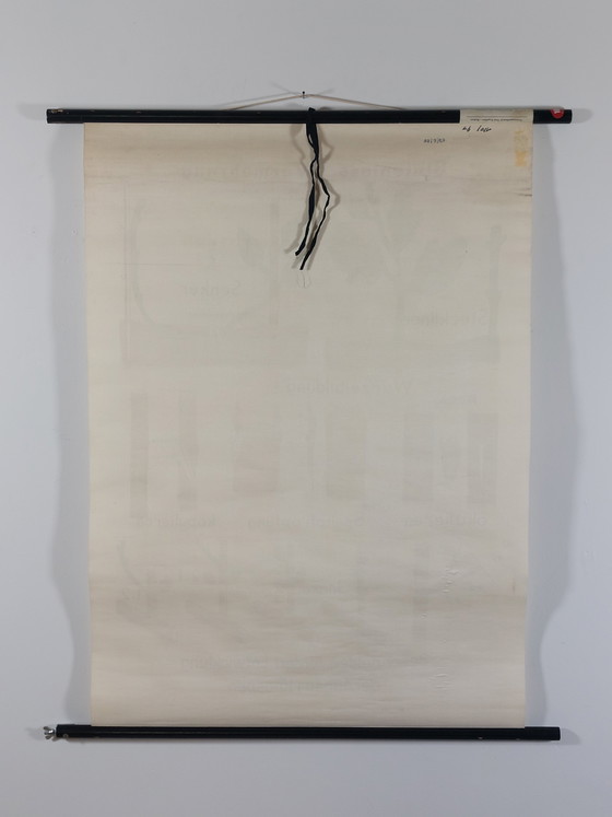 Image 1 of Vintage roll-up map, teaching aid, biology, non-flowering plant propagation, wall map