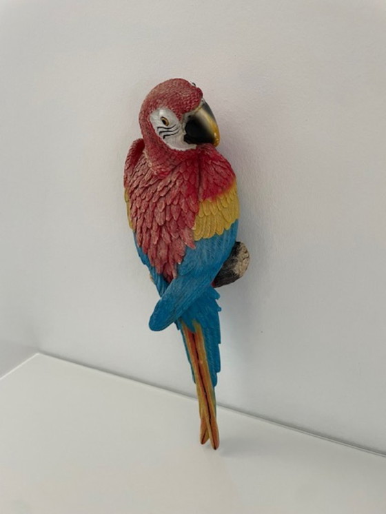 Image 1 of Wall sculpture red macaw parrot colorful design