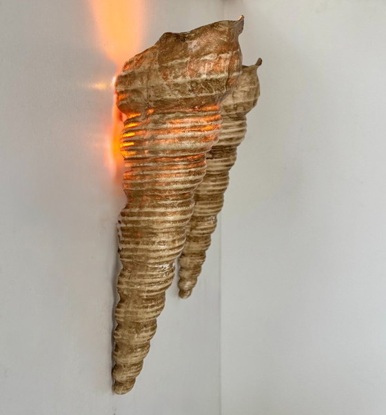 Image 1 of Coppia di applique da parete vintage a forma di conchiglia, in fibra di vetro beige, Francia 1960