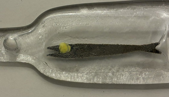 Image 1 of Bottle made of pressed glass with incorporated decorative fish and shell