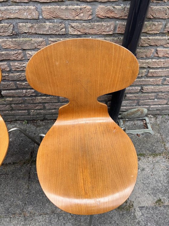 Image 1 of Set van 4 originele en zeldzame 3 poot stoelen Fritz Hansen