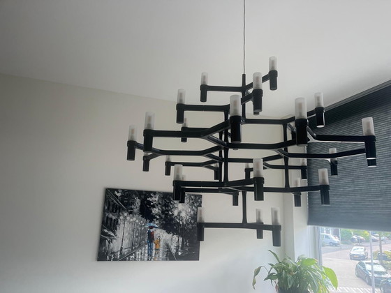 Image 1 of Nemo Crown Major