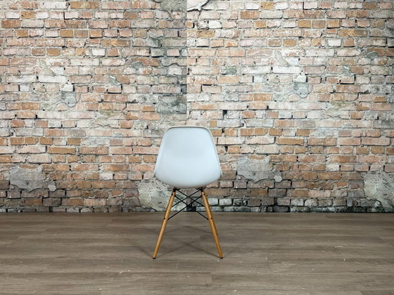 Vitra DSW Wit/Hout - MEER OP VOORRAAD – Eetkamerstoelen, Metal, Plastic (photo 6 of 15)