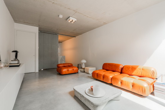 Image 1 of Camaleonda sofa van B&B Italia