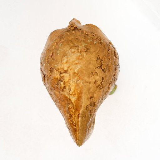 Tête de femme en terre cuite dorée 