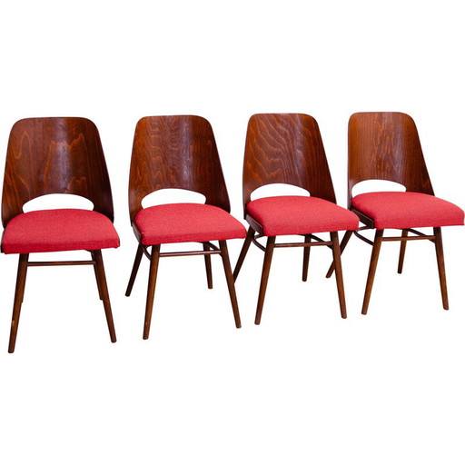 Set di 4 sedie da pranzo vintage in legno curvato di Radomír Hofman per Ton, Cecoslovacchia 1960