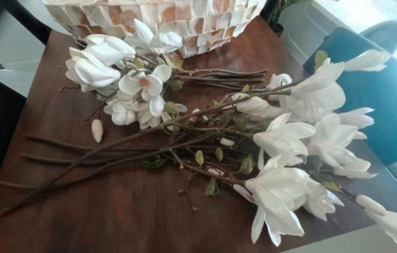 Image 1 of 1 jarrón de concha ovalada y 2 jarrones de concha de nácar con cuencos rotos