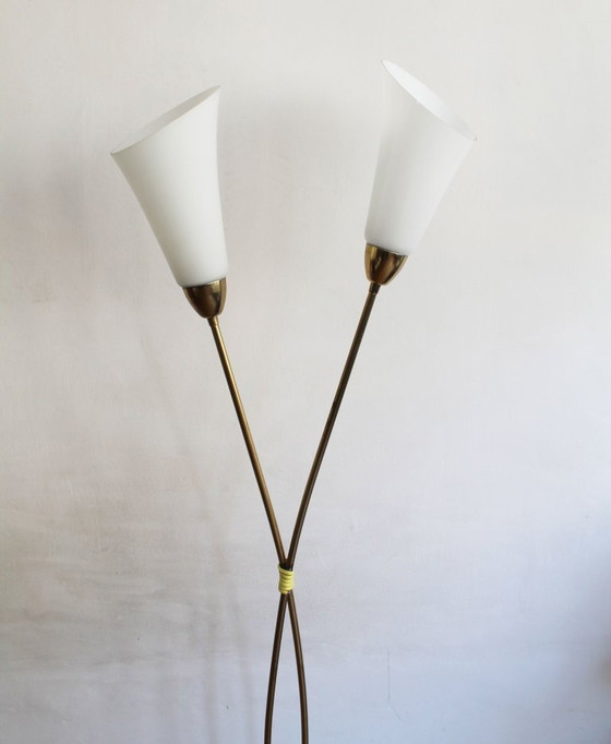 Image 1 of Organic Mid-Century Modern Floor Lamp in Brass and Milk Glass, Czechoslovakia