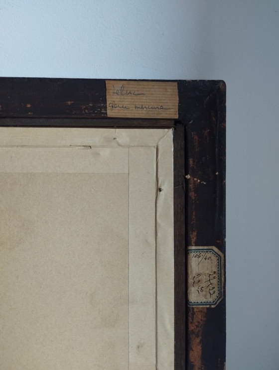 Image 1 of Small rectangular mirror with mercury glass "Leluc"