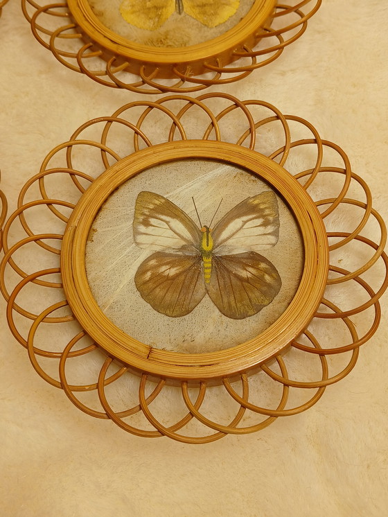 Image 1 of Sottobicchieri vintage in bambù con farfalle
