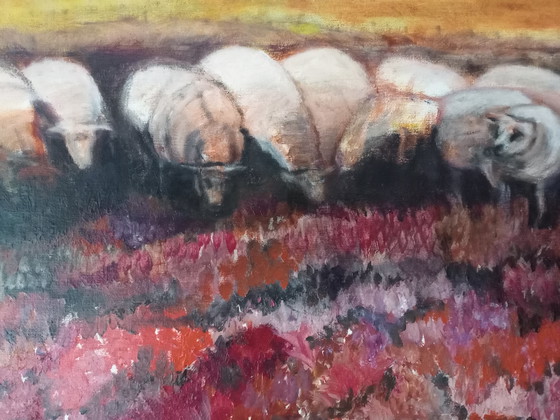 Image 1 of T. van Steenbergen "sheep on the Blaricum heath"