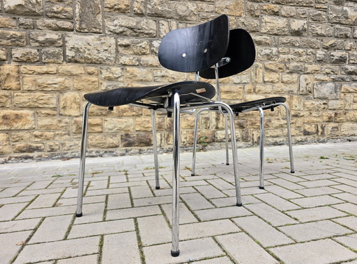 Egon Eiermann stoelen, vintage, midden 20e eeuw, jaren 60/70, loftstudio – kuipstoelen, Wood
