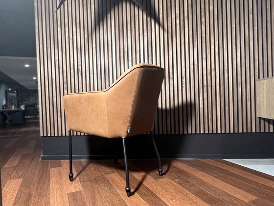 Image 1 of Boxer and set