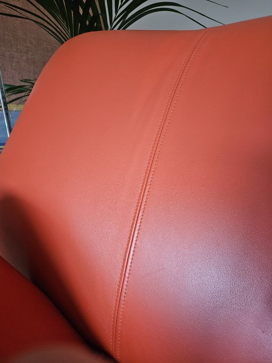 Tango Couches (2- and 3-Seater) Leolux – Leather (photo 6 of 9)