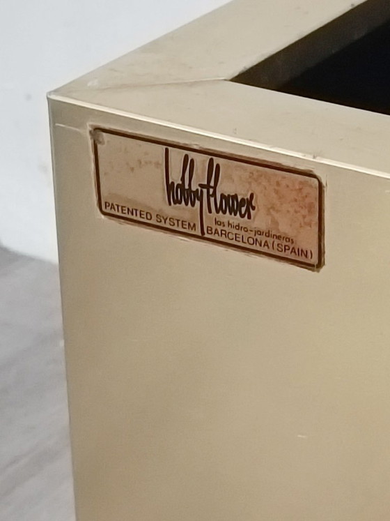 Image 1 of Brass planter by Hobby Flowers Barcelona, ​​1990s