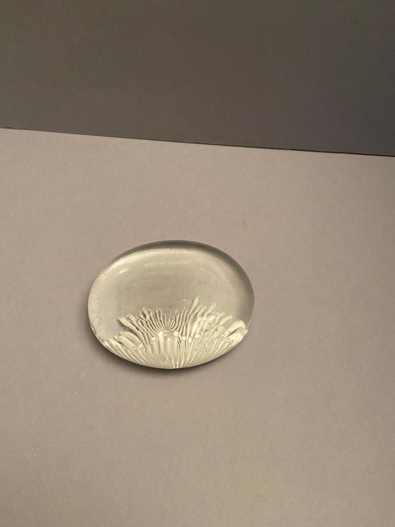 Image 1 of Fermacarte LA MURRINA con motivo marino Natale 1992!