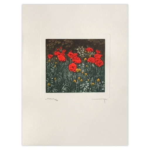 Alfonso Ayuso signierte Radierung Amadolas – lithos zeefdrukken, Paper