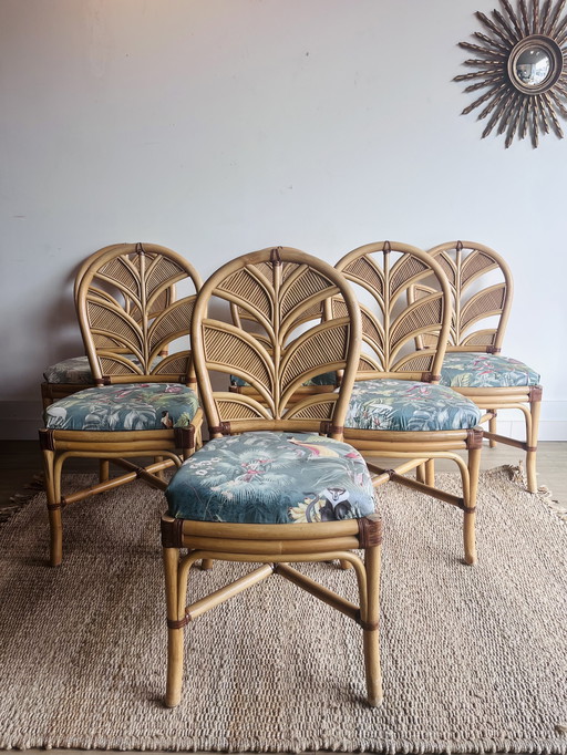 6 Palm Leaf Rattan chairs Vivai del Sud