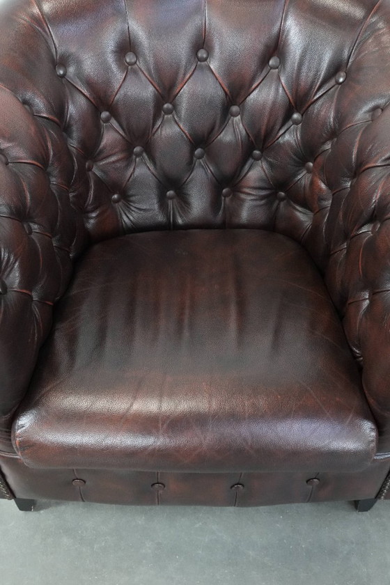 Image 1 of 2 fauteuils club Chesterfield classiques de style anglais en cuir de vachette, finition clous décoratifs