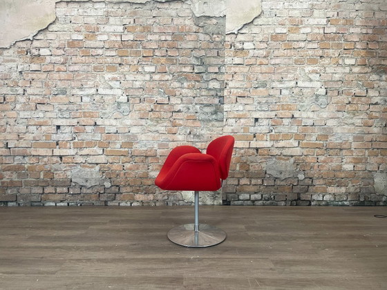 Image 1 of Artifort Little Tulip rosso