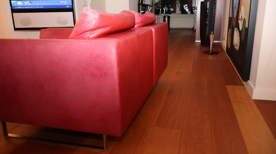 Image 1 of Montis Axel armchair, leather, color Gaucho cherry