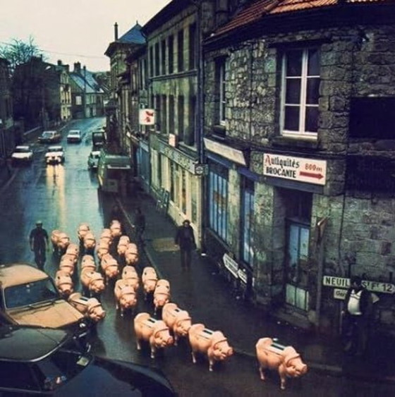 Image 1 of Platenstandaard voor het album Animals van Pink Floyd, 1977