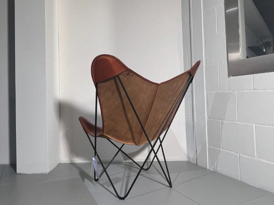 Image 1 of Cognac Papillon