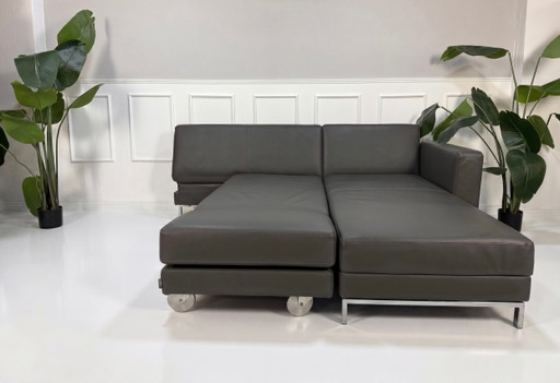 Brühl Fourtwo Sofa Leder Schlafsofa Four Two Grau