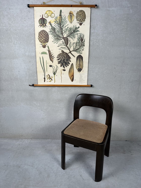 Image 1 of Vintage linnen schoolkaart - de grove den (pinus sylvestris)