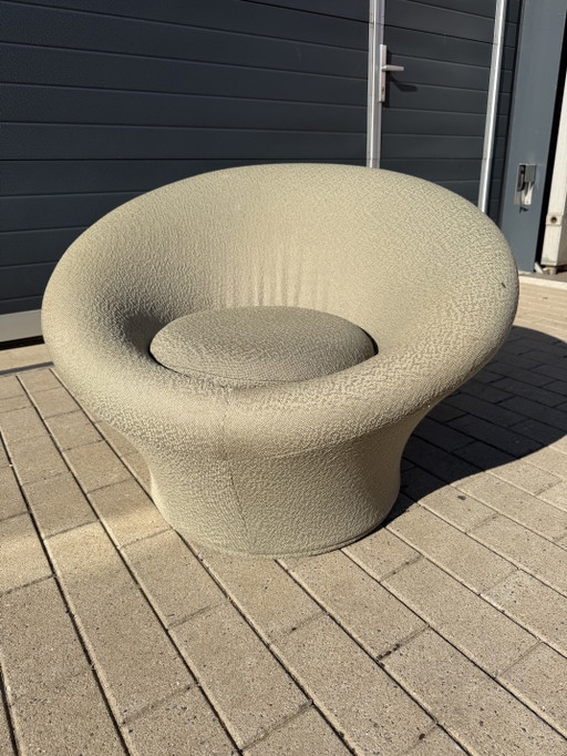Vintage Artifort Mushroom Chair Mint Green Zeer Goede Staat!