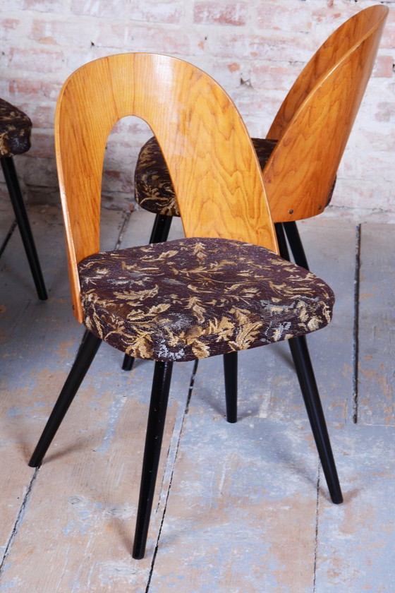 Set of Four Restored Mid-Century Chairs, Beech, Oak, Slovakia, 1950-1959 – Tatra Nábytok, Dining chairs (photo 5 of 11)