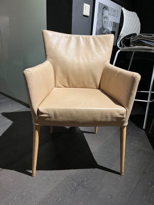 1x Silla LABELVANDENBERG