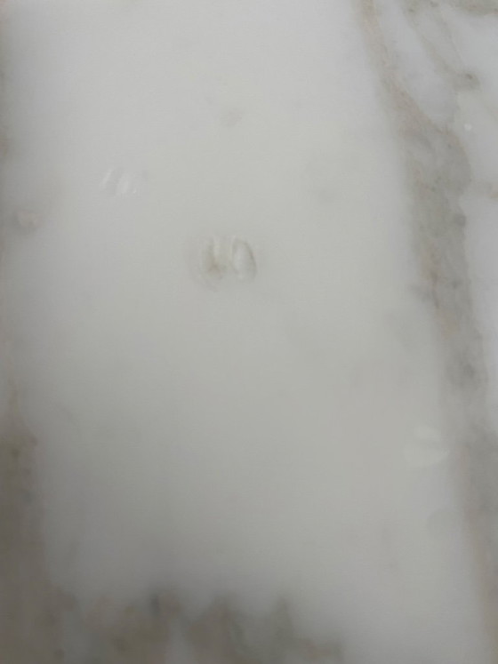 Image 1 of Knoll - Eero Saarinen - Table - tulip - Arabescato - Ø137 cm