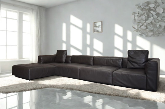 Bellissimo Walter Knoll EOOS Living Landscape 740 – Divani modulari, Legno, Pelle (photo 2 of 9)