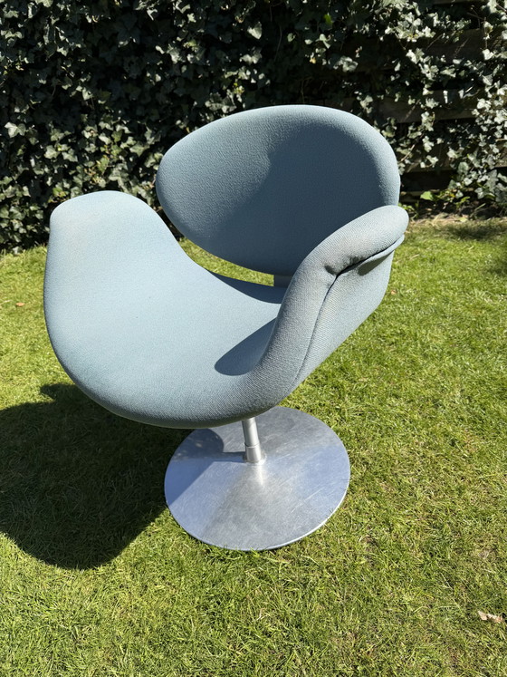 Image 1 of Little tulip Artifort (grey)